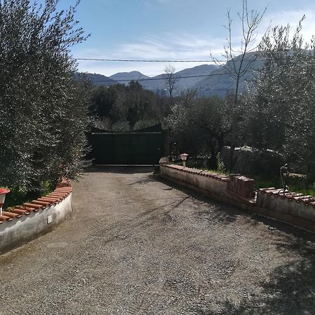 Affittacamere Casa fra gli ulivi di Giuseppe Sonnino Esterno foto