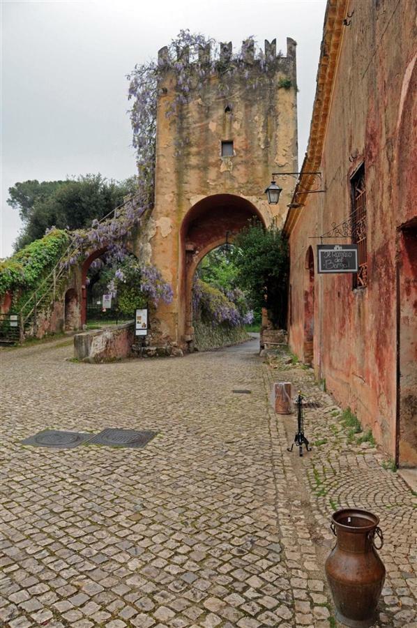 Affittacamere Casa fra gli ulivi di Giuseppe Sonnino Esterno foto